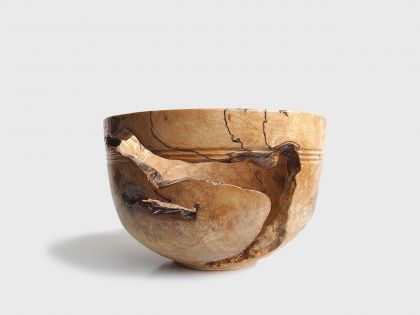 Vaso radica faggio spalted