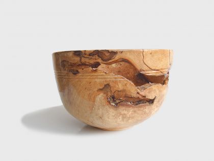 Vaso radica faggio spalted