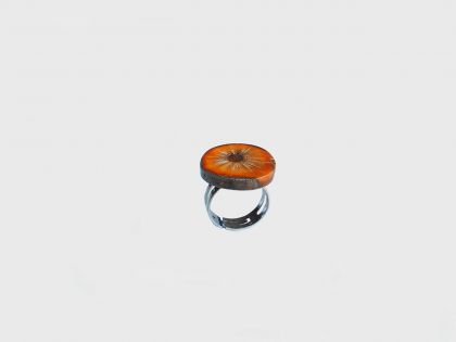 Caledonia ring-C01