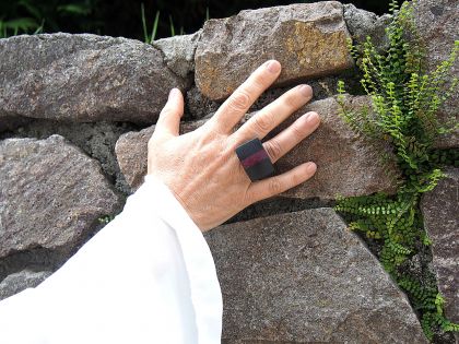 Rectangular ebony and amaranth ring