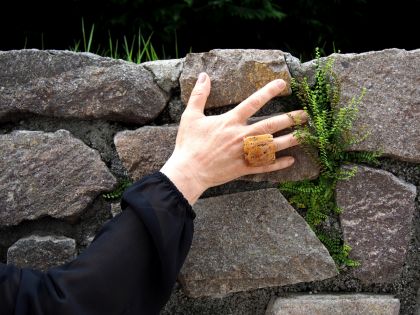 Plum burl ring