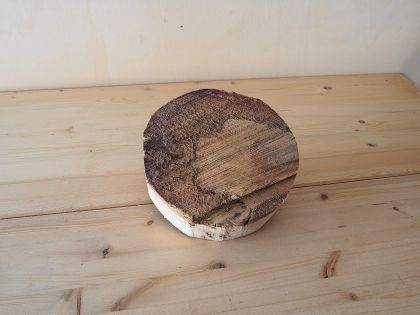 Legno di quercia per ciotola QE4