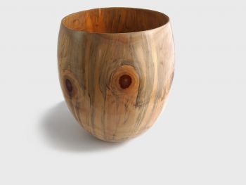 Norfolk pine vase CA06