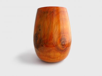 Orange norfolk pine vase