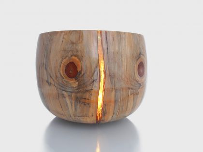 Norfolk pine vase with resin