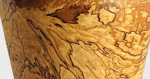 Il legno Spalted